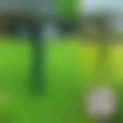 Ultraschall-Tierabwehrgerät| SONICFIELD