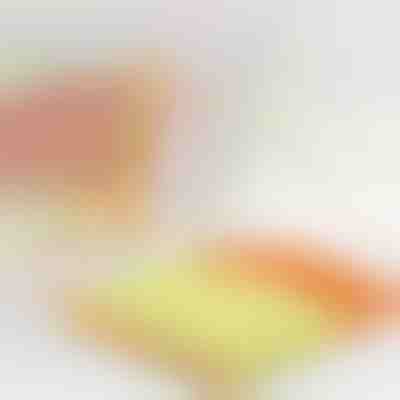 Mikrofaser-Reinigungswerkzeug für Jalousien | BLINDY