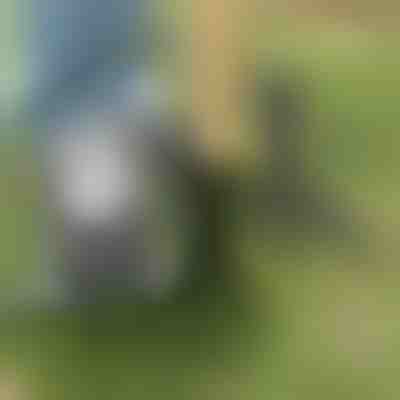 Unkrautzieher-Werkzeug | ROOTNIK