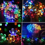 DAISYGLOW