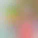 9x Folien | SPECIMEN