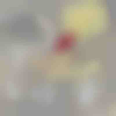 Zusatzfilter für PETSPRINGLE | SPRINGLEFIL