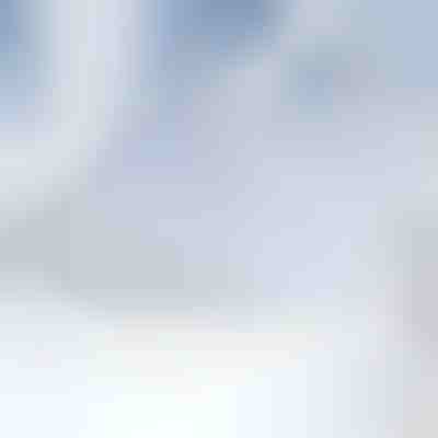 Magnetische Windschutzscheibenabdeckung gegen Schnee | FROSTCOVER