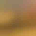 10-teiliges Schraubenausdreher-Set | SCREWX