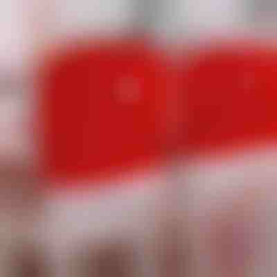 Festliche Sitzbezüge 4er-Set | SANTASEAT