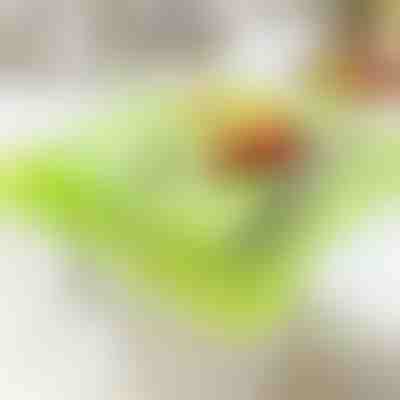 Schneidebrett mit Bioabfallbehälter