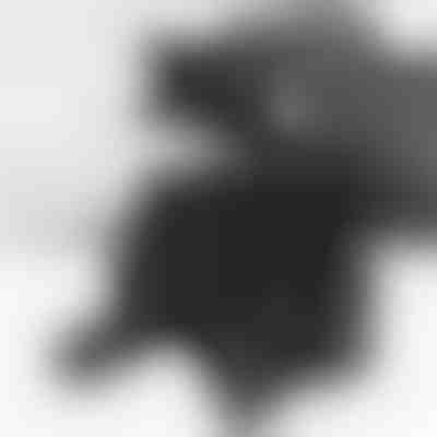 Müheloser Federbein-Naben-Spreader | STRUTRA