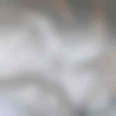 Ersatzklinge für GRIDZ