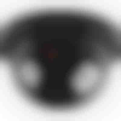 Attrappe einer Überwachungskamera